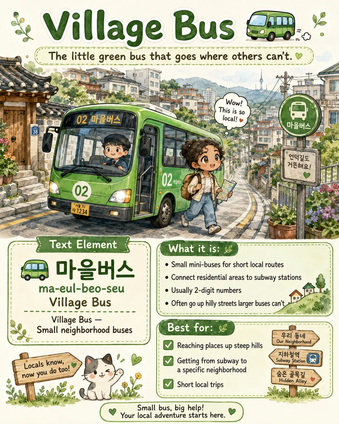Korean Bus Types Explained — cut 5
