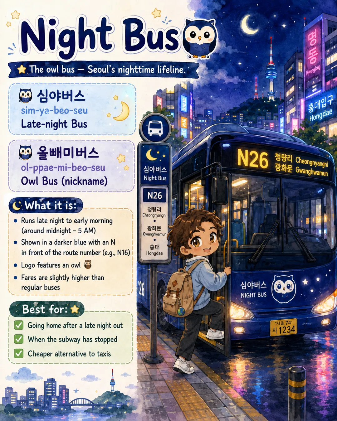 Korean Bus Types Explained — cut 6