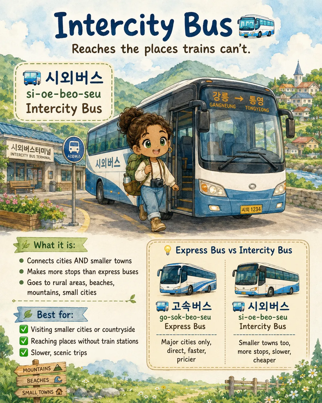 Korean Bus Types Explained — cut 9